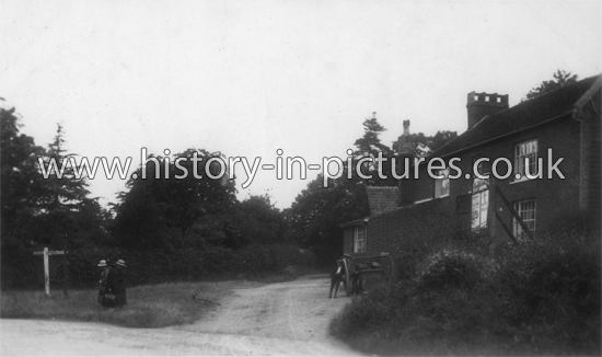 The Village, Chappel, Essex. c.1905